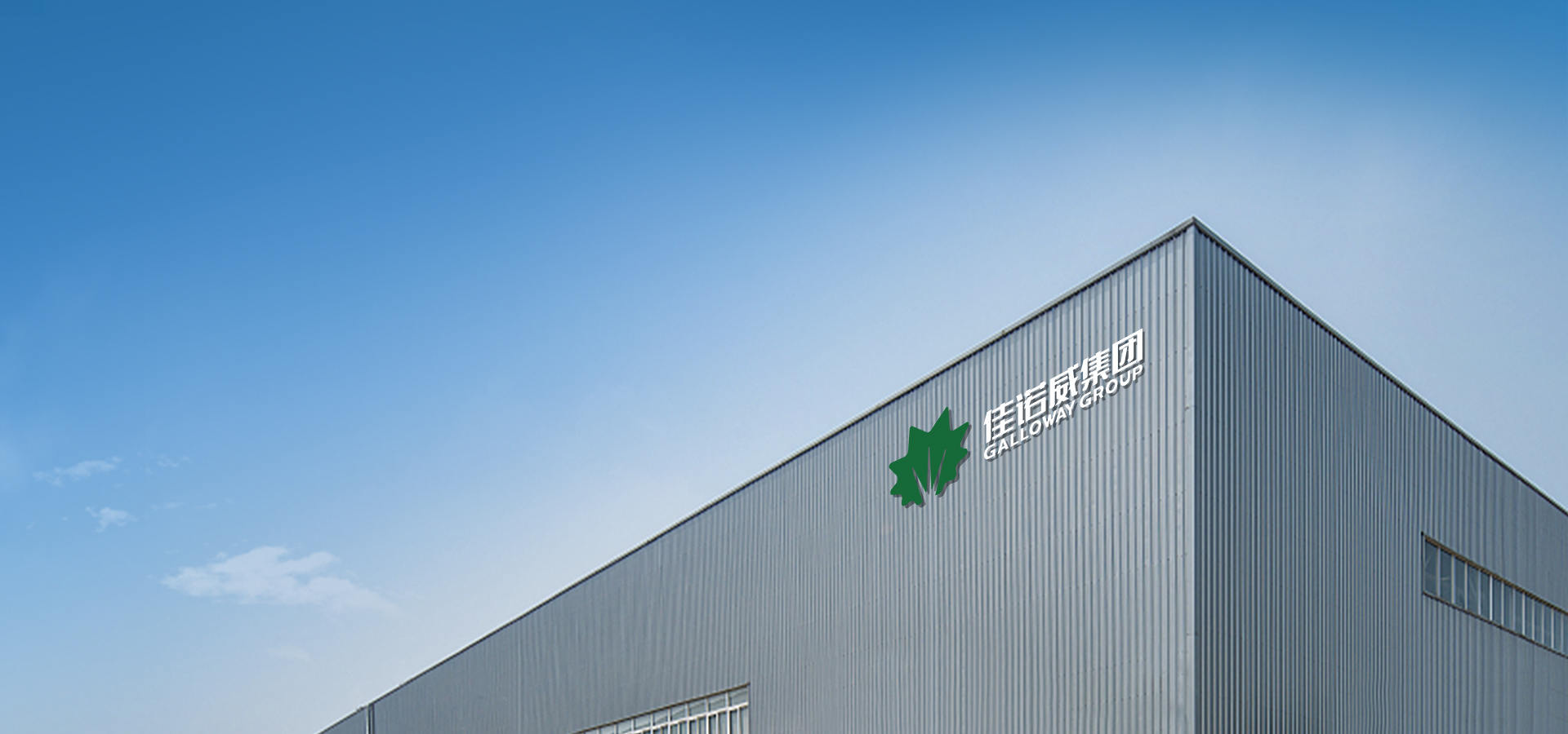 金狮贵宾会集团（河南）新质料有限公司一期